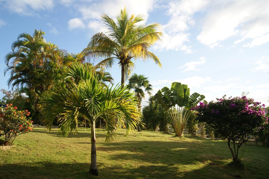 Residence Anamanga Sainte-Anne  Exteriér fotografie